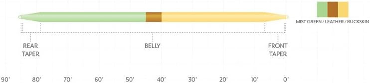 Scientific Anglers Amplitude Smooth Double Taper Fly line