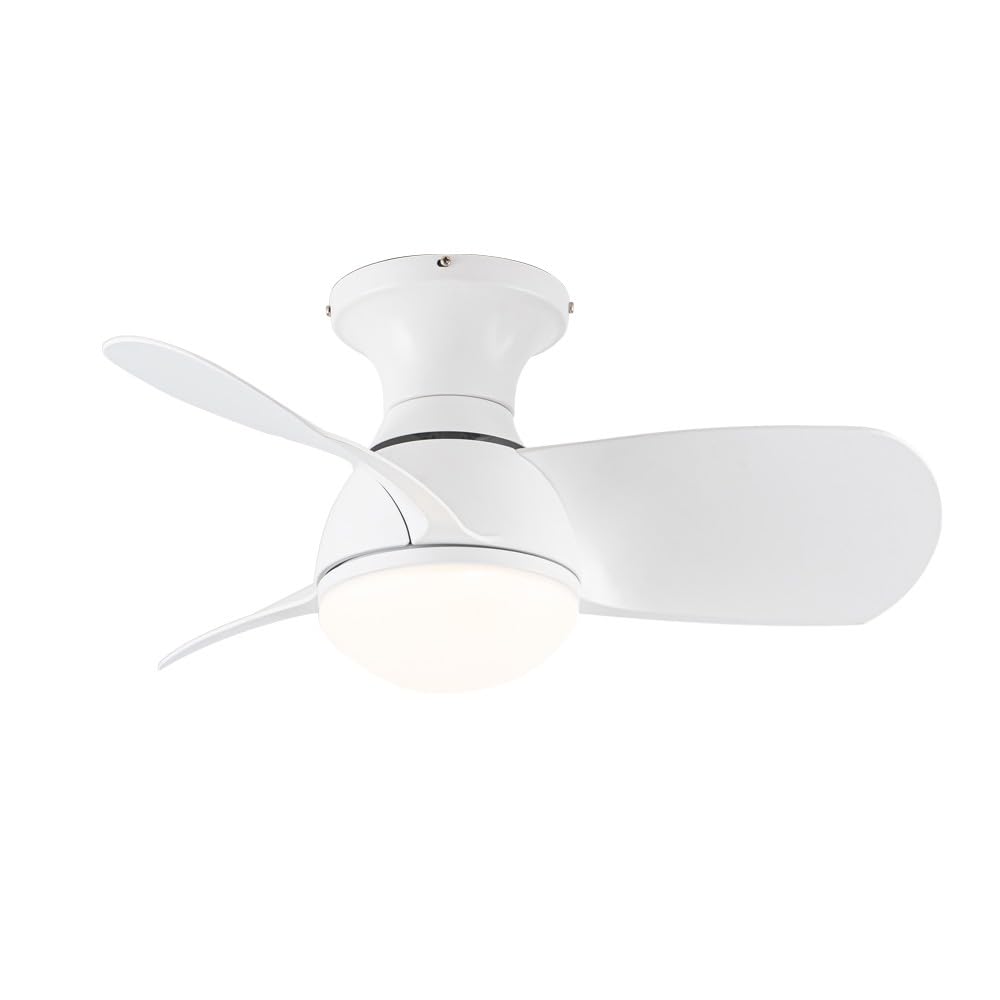 wonderlamp Ventilador de techo pequeño ø64cm silencioso LED Mancado Blanco CCT 3000-4000-6000K, Intensidad Regulable 20W