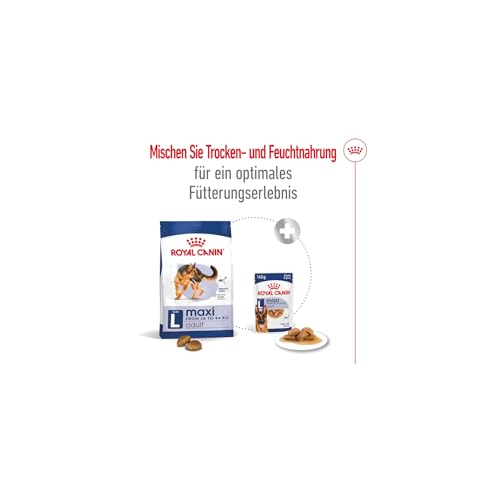 Royal Canin Maxi Adult | 12 x 410 g | Alleinfuttermittel für ausgewachsene große Hunde (26-44 kg) | Nährstoffreiche und ausgewogene Feuchtnahrung mit hochverdaulichen Proteinen