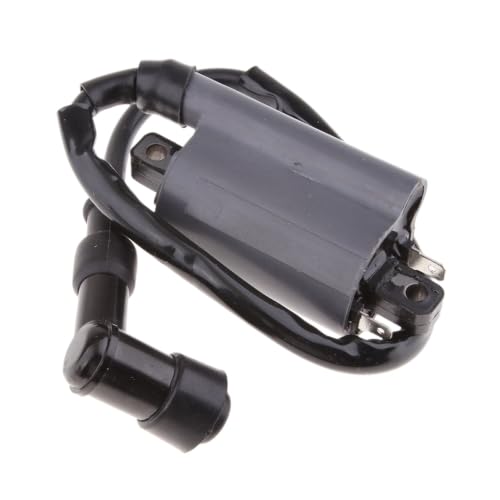Kit allumage pour Buyang Feishen Linhai 260 300cc ATV