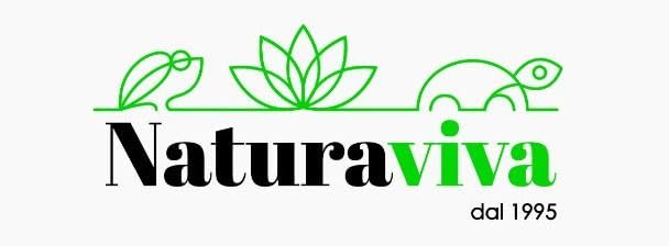 NINFEA RUSTICA RESISTENTE GIALLA