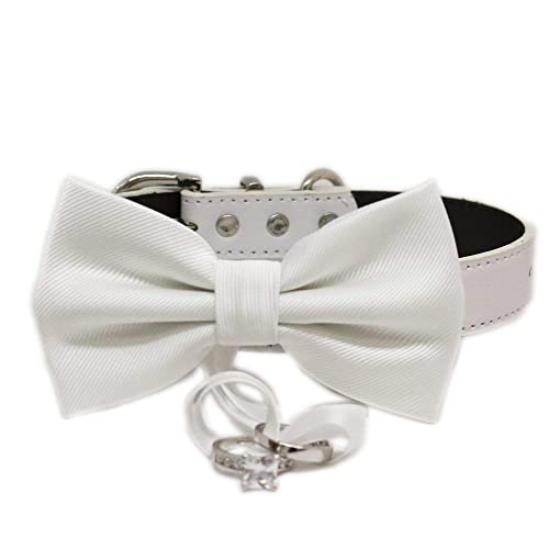 White bow tie collar, dog collar, handmade, proposal, Marry me, dog ring bearer, XS to XXL adjustable collar -  LA Dog Store