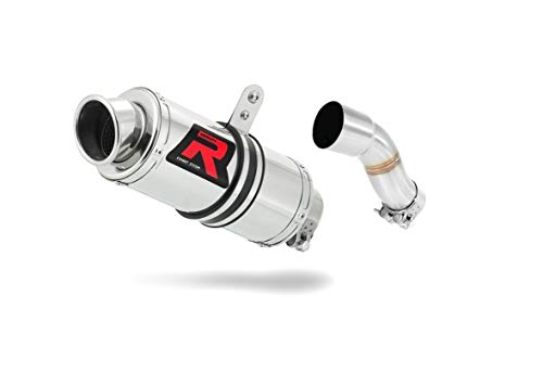 DOMINATOR Pot d'échappement Silencieux GP1 compatible avec YBR 250