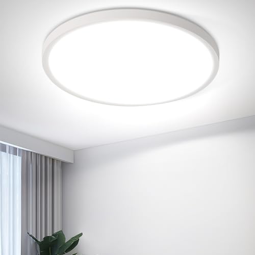 Plafonnier LED cuisine et couloir ZMH lampe de plafond pour ambiance 4000K