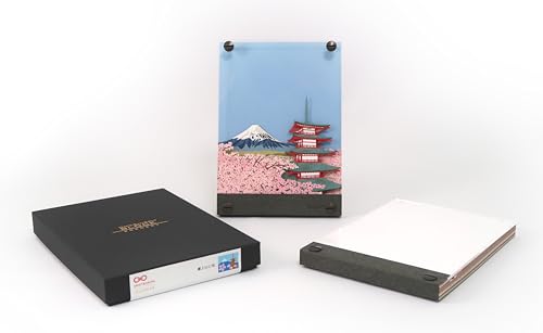 Amazon.co.jp: ［TRIAD Inc.（トライアード） - Official shop