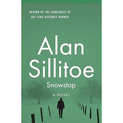 Snowstop: A Novel