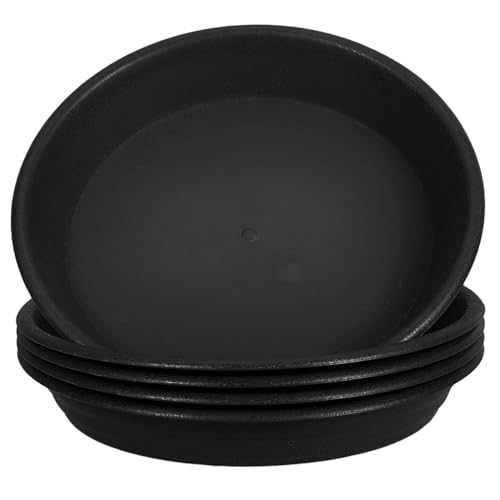 FONDOTIN 5 A 󂯎M AؔgC A󂯎MgC ` ۂ A