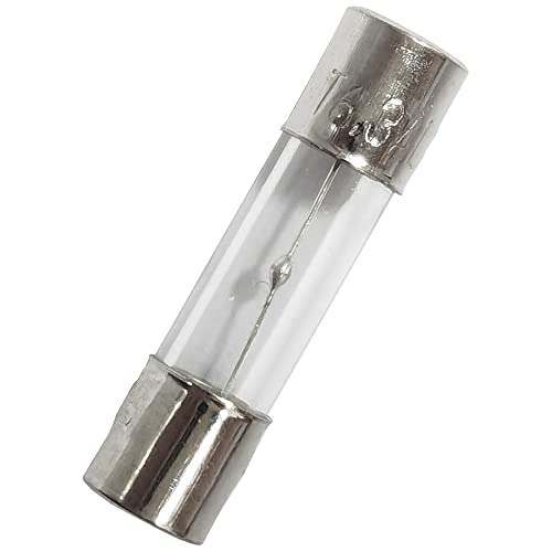 Yoiilnz 20 pcs T6.3AL250V Glass fuses Slow-Blow 5x20mm Time-Lapse 6.3 AMP