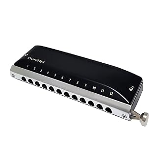 Harmonica Evolution Chromic harmonica GM - 0648s 12 trous ABS peigne laiton couvercle Reed plaque phosphore bronze Reed… – Image 2