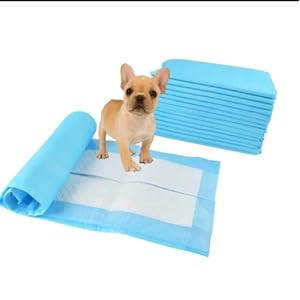 Dog Potty Training Leakproof Pee Pads  Tapete Para Perros Yorkie Accessories Pampers Para Perros Dog Litter Medium 24 X 18 Inches  Pack of 50 Pet Products Puppy Training Blue  Cucciolini Doodles Dog potty training leak proof pee pads  tapete para perros yorkie accessories pampers para perros dog litter medium 24 x 18 inches  pack of 50 pet products puppy training blue   cucciolini doodles