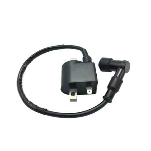 Bobina de encendido Suzuki LT50 y LTA50, pieza de recambio para motor de quad