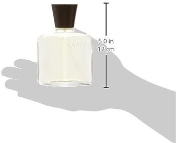 Capucci Pour Homme Eau De Toilette Spray, 100 ml (Pack of 1)