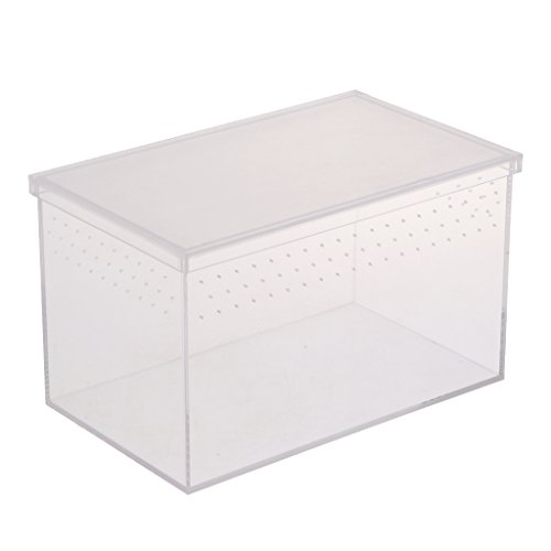 Caixa de acrílico transparente Homyl para transporte de insetos de répteis, caixa de alimentação, re