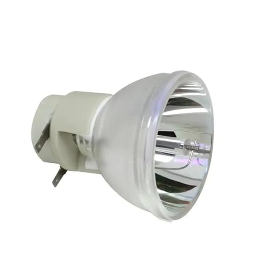 Ampoule W1070 bare lamp pour des soirées cinéma réussies avec J9P05