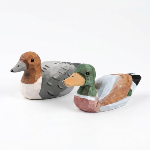 Lungigi Mallard & Australian Wood Duck Decor Set(Pack of 2)