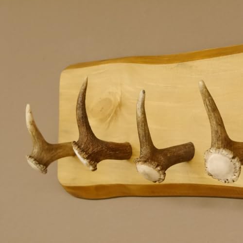 GTK - Geweihe & Trophäen KRUMHOLZ Geweih Garderobe mit 5 Haken aus Hirschspitzen Hirschrose auf Holzbrett Rehgeweih Wandgarderobe Unikat 27.8.96