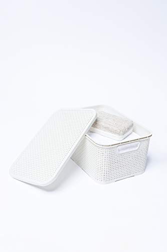 BranQ - Home essential universeller, multifunktionaler Korb in Rattan Design, Grösse M 10 l, BPA-frei Kunststoff PP, Creme, 28,8x19,7x16,2 cm