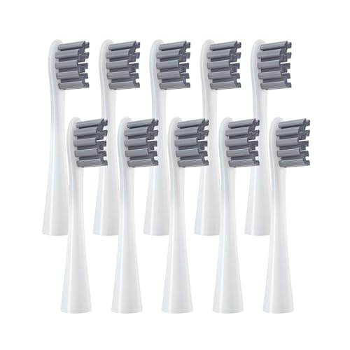 �d�����u���V�w�b�h 10����AOclean���f�� x pro Elite�AX�AX Pro�AFlow�AF1�AAir 2�ɑΉ�(10 grey)