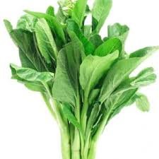 Indica Super Agri Green Mustard Leaves 50 Seedsx 2 Kitchen Garden Pack (B01E2BL4D4) Amazon Price History, Amazon Price Tracker
