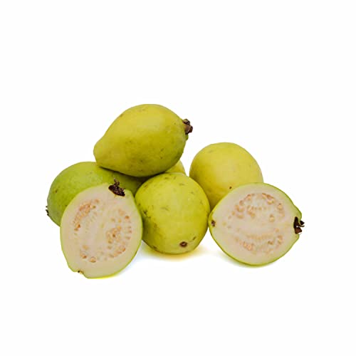 Guava Egypt 500 g Approx.