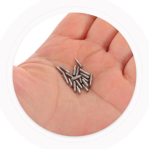 GALPADA 20 Adet Düz Başlı Vida Seti Aşınmaya Dayanıklı Üflemeli Enstrüman Parçaları Çoğu ile Uyumlu Taşınabilir Müzik Aksesuarları - Görsel 4