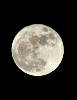 Journal: 160 Page Lined Large Paperback Journal/Notebook (8.5 x 11 Inches) (Volume 68)