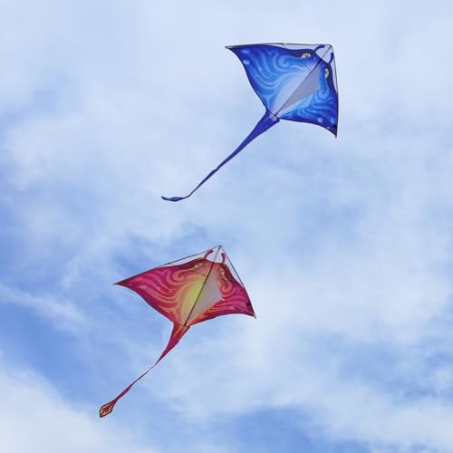Mint\'s Colorful Life 2 Pack Devil Fish Kites for Kids Adults,Easy to Fly Delta Kite Single Line Large, Kite Handle Include (Blue&Pink)