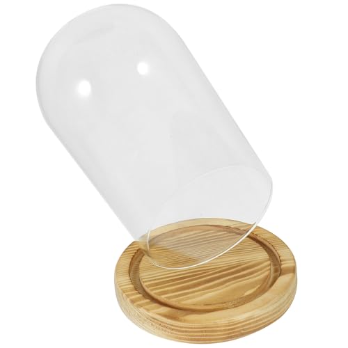 Cúpula de vidrio para flores secas y centro de mesa decorativo con base de madera 2