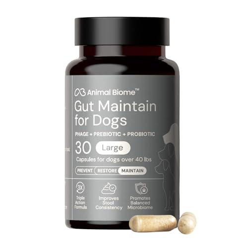 Image of Animal Biome Large Dog Pre and Probiotics, S Boulardii, Gut Maintain, 30 Ct | Triple-Action Dog Probiotics, Prebiotics & Phage S Boulardii Pet Supplements for Gut Health, Diarrhea Support, Food Topper