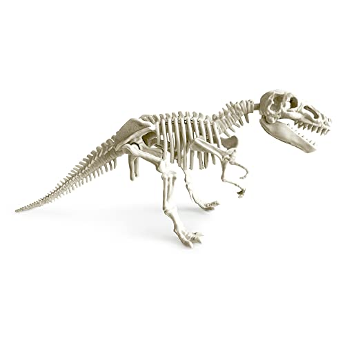ABACUS BRANDS Project Lab Dino Dig VR – vue 4