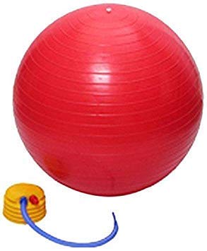 Wagmine Anti Burst Sports Yoga Ball w/Pump Pilates Fitness Gym Balance Stability Swiss Ball Fitball Exercise Workout Massage Ball-image-45
