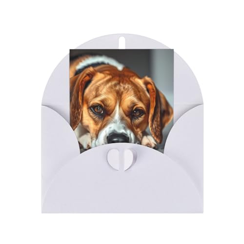 ɉ邩킢r[O bZ[W^[J[h LOjvgJ[h White