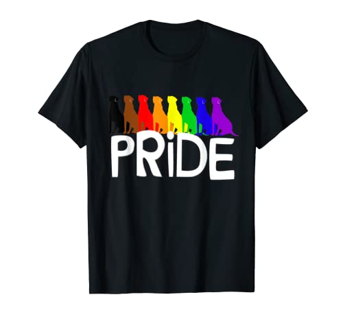 LGBTQQIAAP Rainbow Ally Gay Pride Month Gift LGBTQIAAP Camiseta