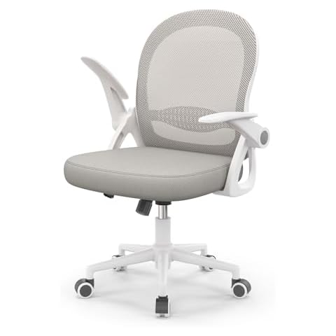 Naspaluro Ergonomic Desk Chair with Lumbar Support Cover