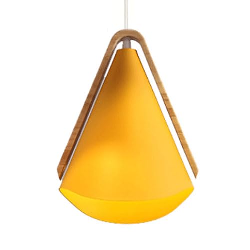 HELCEKOU Suspension en Fer de Style Simple, Abat-Jour coloré et Original, Lustre encastré, luminaires décoratifs pour Chambre et Salle à Manger