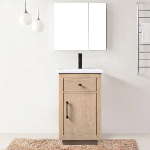 Vanity Art 20 inch Small Bathroom Vanity with Sink, Vanity
