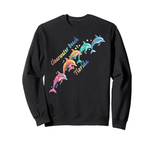 Amante de los delfines Clearwater Beach FL Familia Vacaciones en la playa Sudadera