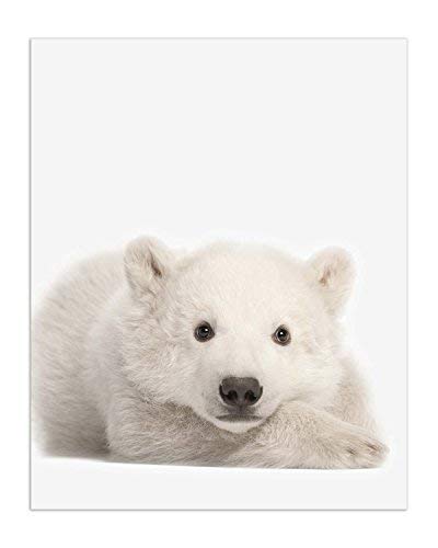 Crystal Canvas Minimalist Polar Bear Cubs Prints - Set Of 6 (8X10) Unique Adorable Baby Polar Bears Poses And Angles Nursery Photography Wall Art Decor #TOP2