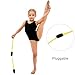 JoyCan Rhythmic Gymnastics Stick Insertable Training and Competition Adults and Kids Gymnastics Equipment Tool 2 Pcs