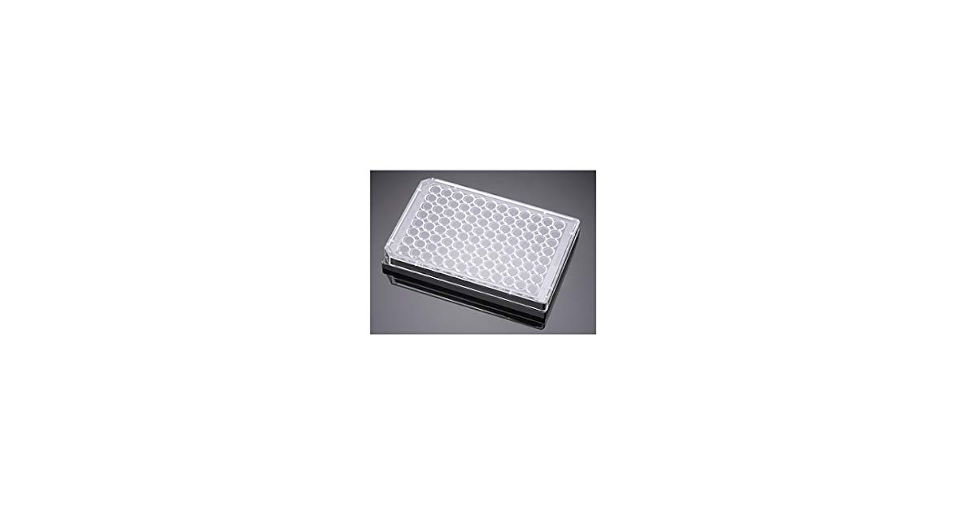 Amazon.co.jp: Corning Falcon BioCoat Poly-D-Licine Multiwell