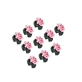 Spécifications : Zambuph Décoration miniature en résine plastique pour maison de poupée, jardin miniature et mini-jardin féerique à faire soi-même : 10 modèles de lotus miniatures pour la décoration maison