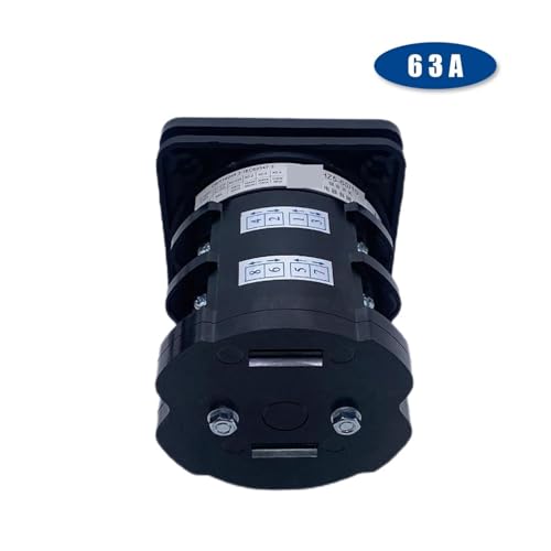 Interruptor de leva de corte con dos polos y capacidad de 60 A 5