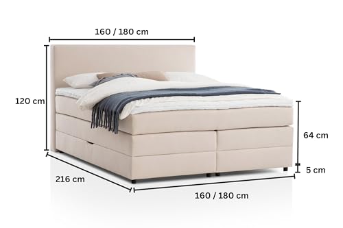 Belanoti Loft Boxspringbett 180x200 mit Bettkasten 7-Zonen Taschenfederkern Matratze inklusive Visco Topper Bett 180x200 in der Farbe Beige H2 und H3 Polsterbett mit Stauraum – Bild 3