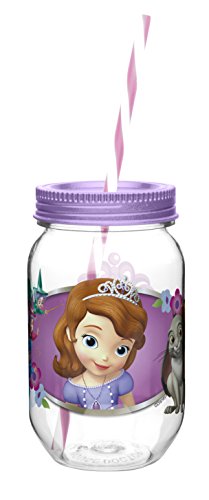 Zak! Designs Tritan Mason Jar Tumbler with Screw-on Lid and Straw featuring Sofia the First Graphics, Break-resistant and BPA-free Plastic, 19 oz.
