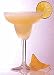 1 X Classic 12 oz. Unbreakable Polycarbonate Plastic Margarita Glass (each)