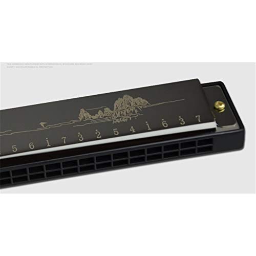 Harmonica Pack De 3 Pièces Standard C Clé 24 Trous Harmonica Polyphonique Enfants Instrument De Musique pour Débutants… - Les Beatles, Paul McCartney, John Lennon, RIngo Starr, George Harrison Harmonica Pack De 3 Pièces Standard C Clé 24 Trous Harmonica Polyphonique Enfants Instrument De Musique pour Débutants… – Image 7