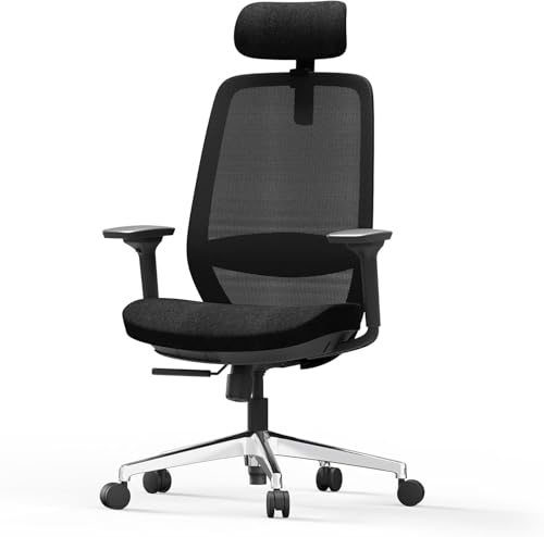 Duwinson Ergonomic Mesh Home Office Chair (OL)