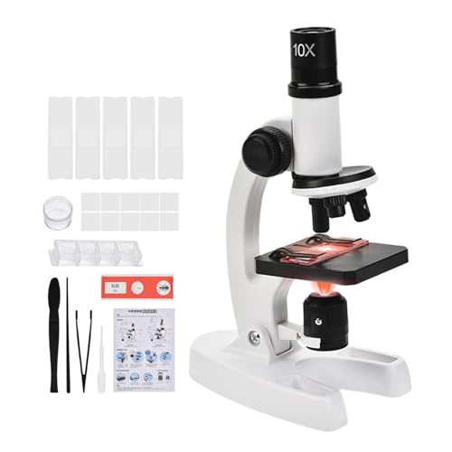Microscope pour enfant et kit d'apprentissage scientifique junior pour l'observation de la nature