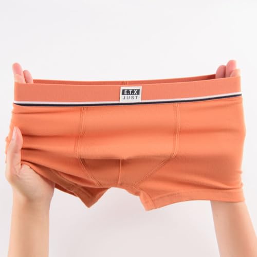 Listado de Bóxers para Niño al mejor precio. 11 Imagen adicional