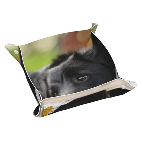 InOmak Cani Black Labrador Camomilla Black Retriever, Vassoio portaoggetti in pelle Organizzatore di gioielli Vassoio raccoglitore da tavolo, Piastra organizer per comò,M